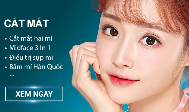 Cắt mắt hai mí