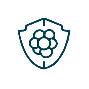 Hình ảnh icon-điều trị u bướu