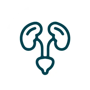 Hình ảnh icon-tiết niệu