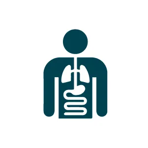 Hình ảnh icon-nội tổng hợp