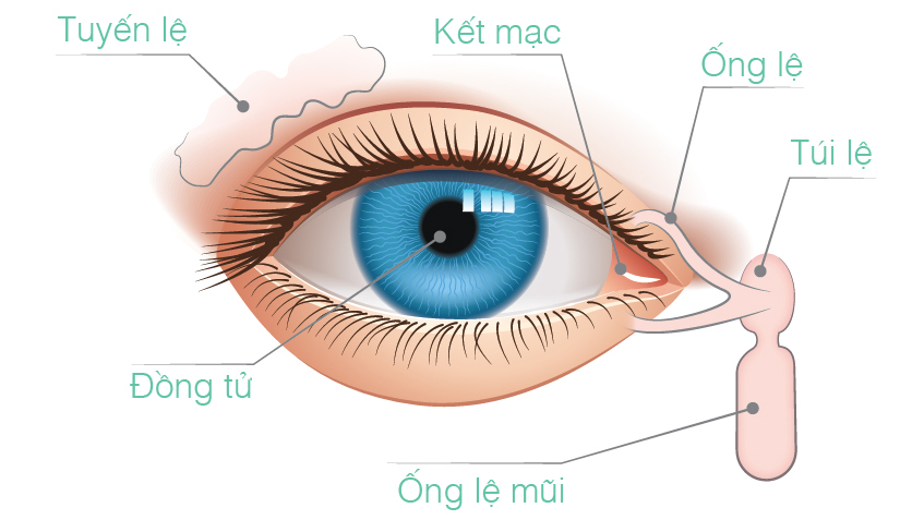 5 nguyên nhân gây sụp mí mắt và cách điều trị hiệu quả nhất - Ảnh 12