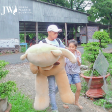 Anh Mến lần đầu tái xuất về An Giang cùng Gấu