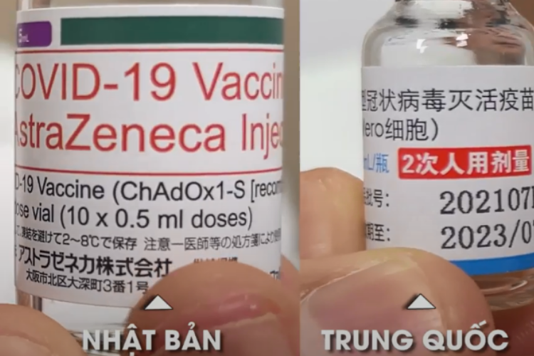 vaccine-vero-cell