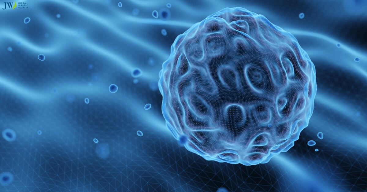 Điều trị tế bào gốc