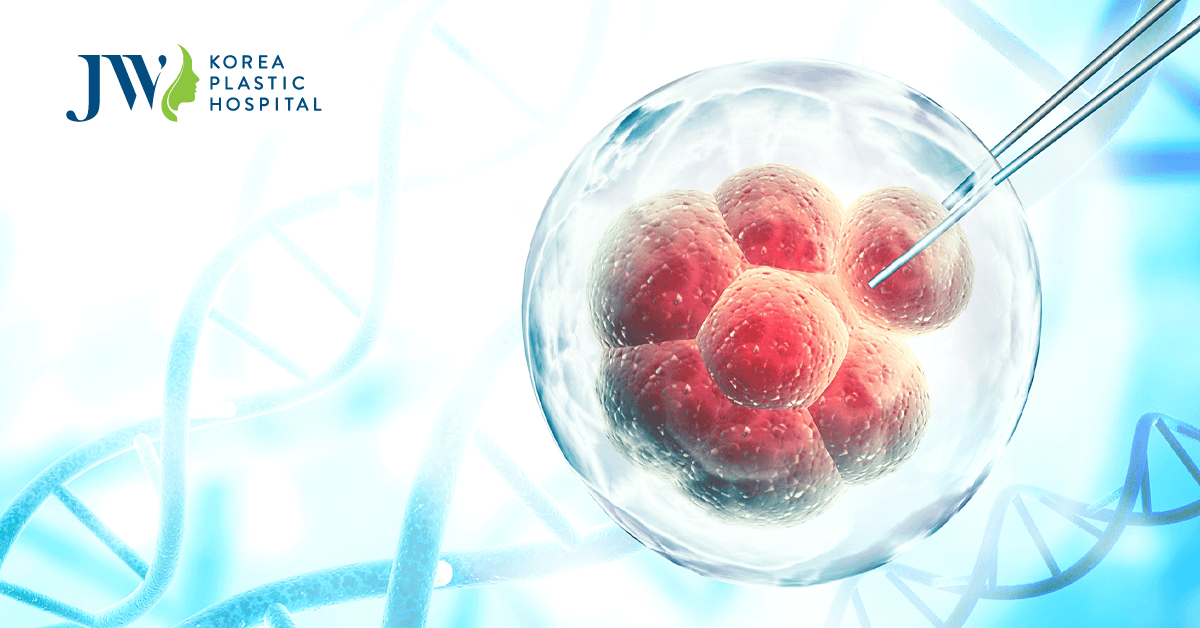 tac dung cua te bao goc