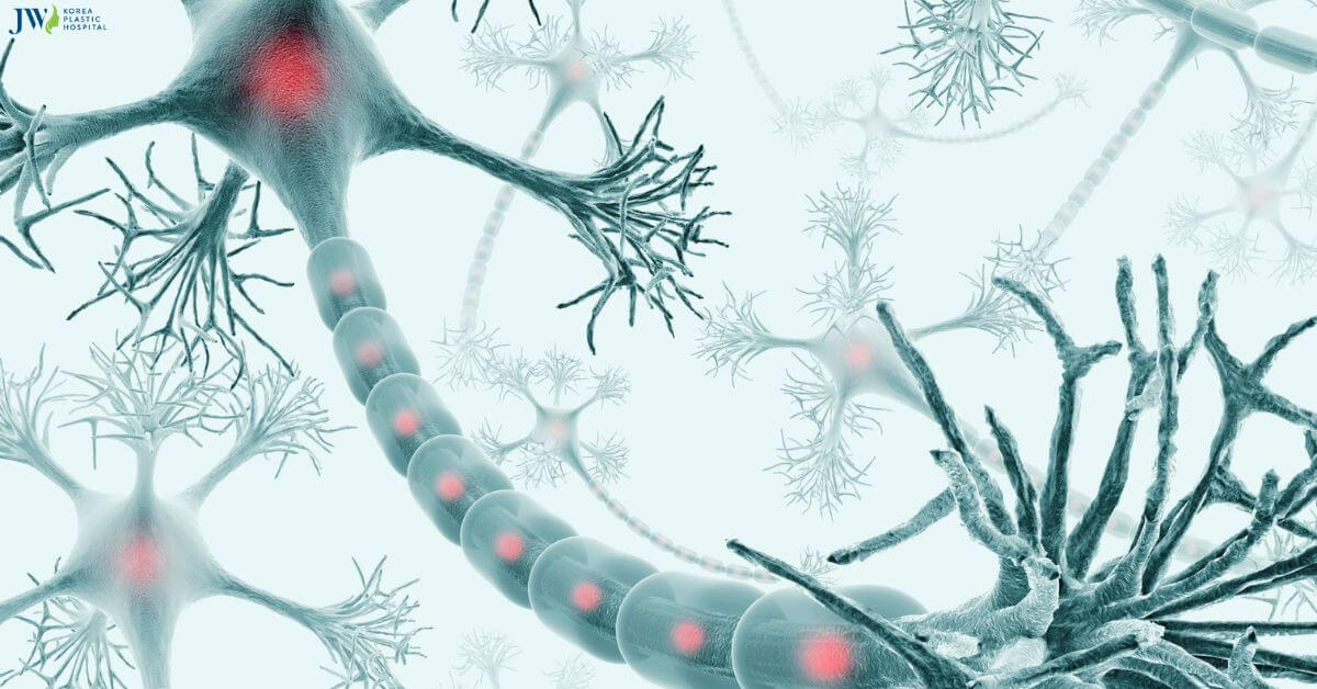 Tế bào gốc thần kinh có đang được thần "thánh hoá"? Thumb