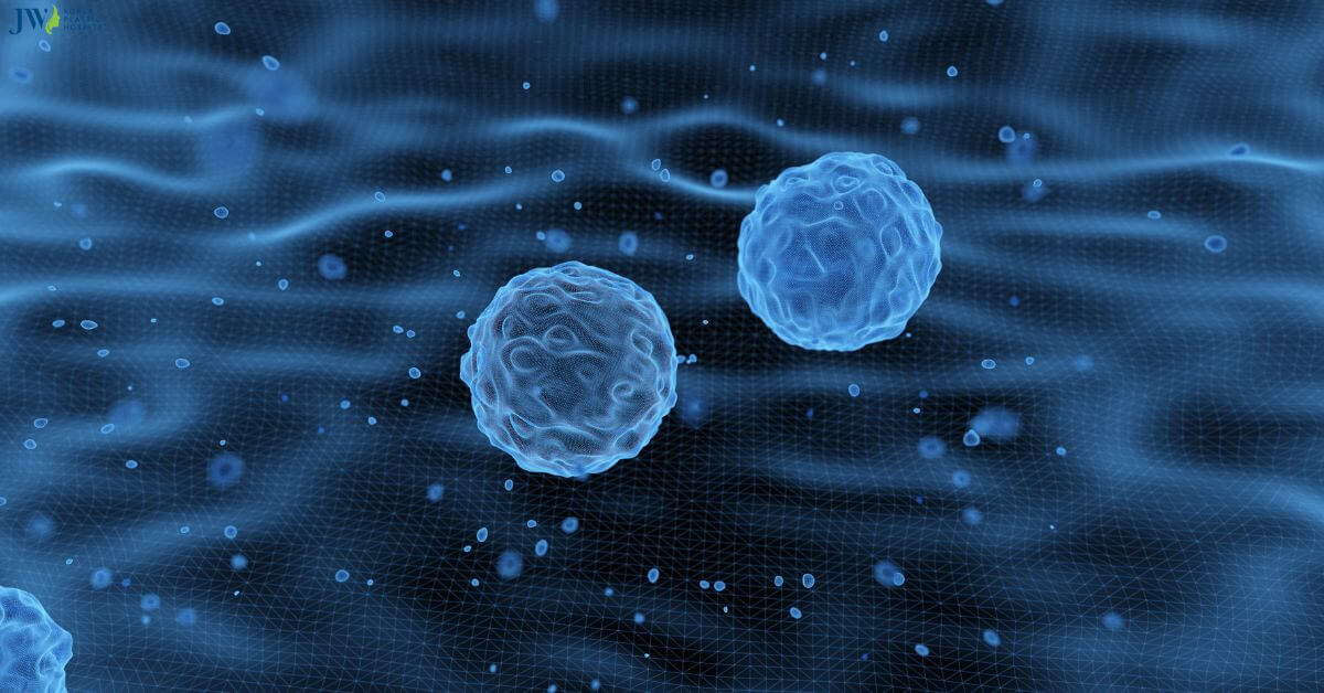 Tế bào gốc và vai trò thay thế của tế bào gốc? Thumb