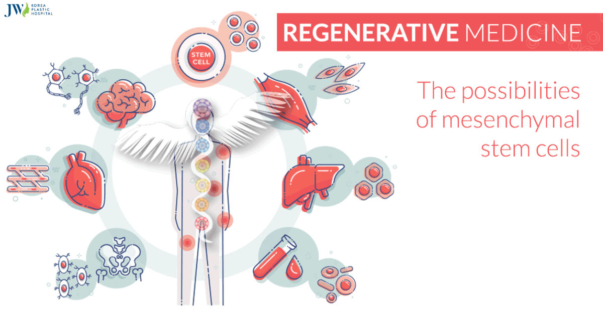 Y học tái tạo sinh sau đẻ muộn nhưng lại phát triển vượt bậc_Thumb
