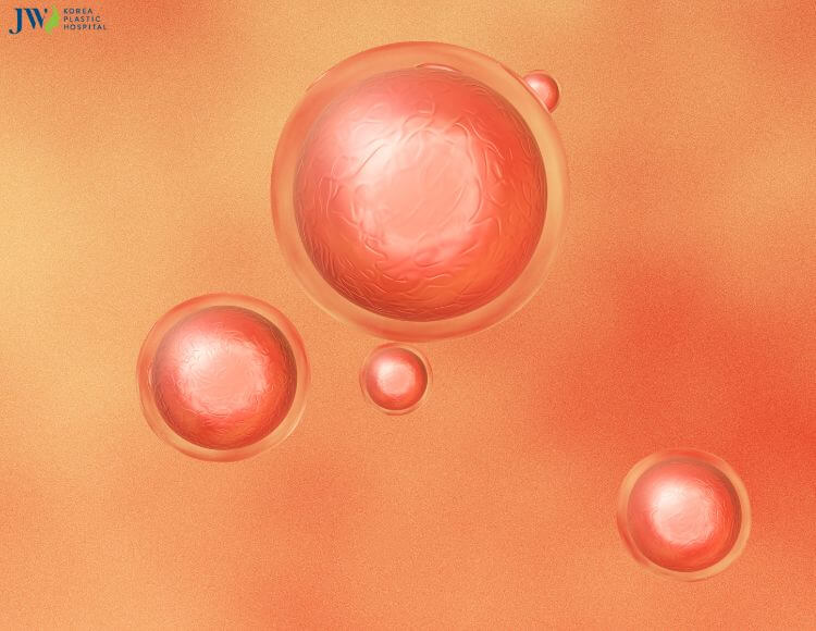 Những điều có thể bạn chưa biết về tế bào gốc (Stem cell) 1