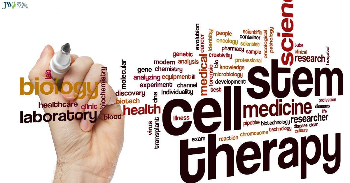 Những điều có thể bạn chưa biết về tế bào gốc (Stem cell) Thumb