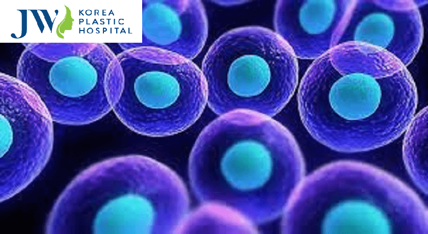 Trị bệnh bằng tế bào gốc