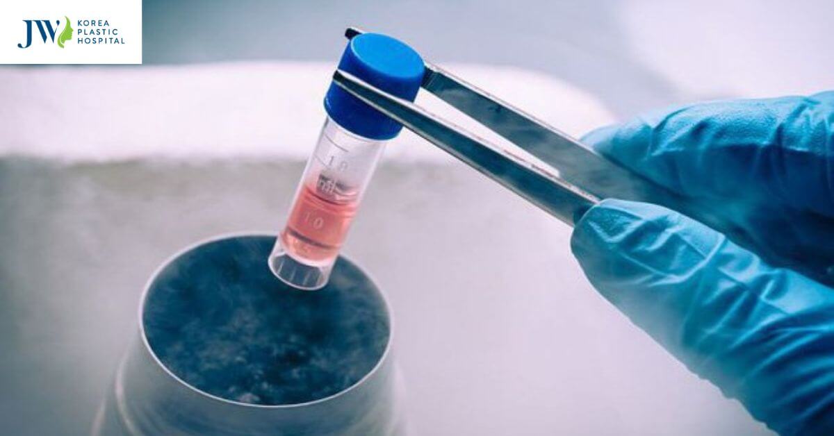 tế bào gốc được dùng trong điều trị ung thư