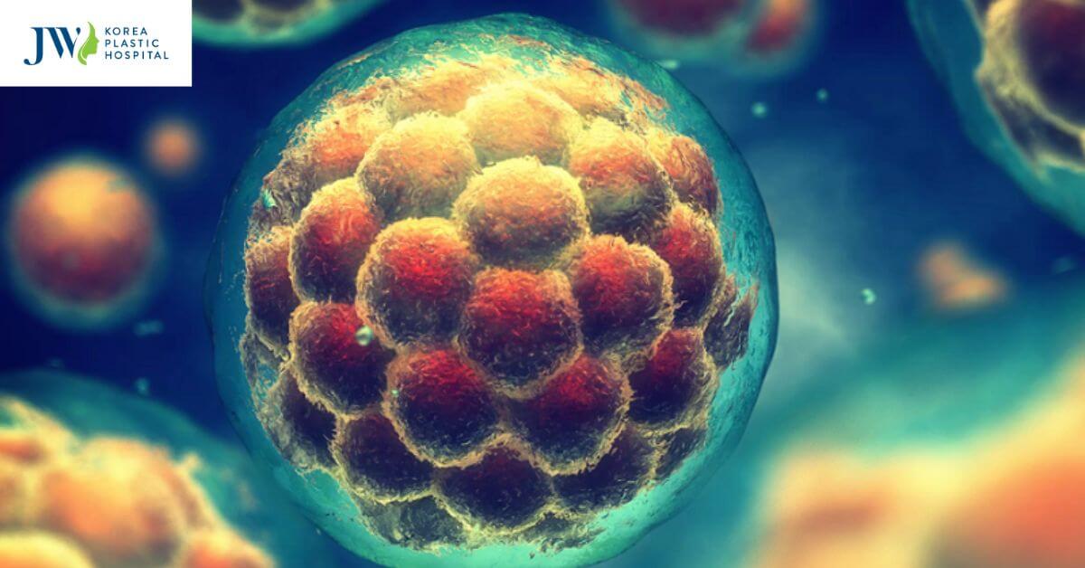 Trị liệu tế bào gốc