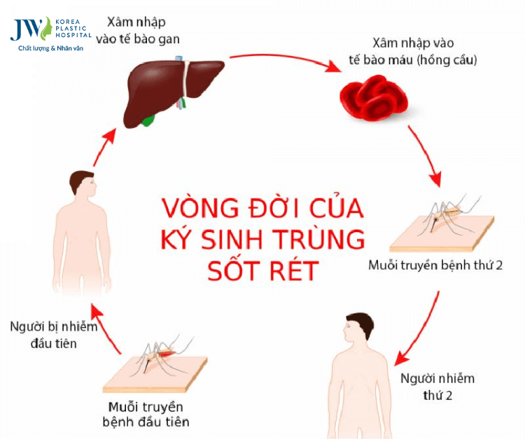 phòng chống sốt rét