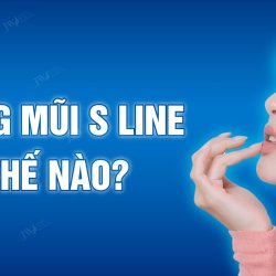 Dáng mũi S Line là gì? Cách sở hữu gương mặt tỉ lệ vàng 