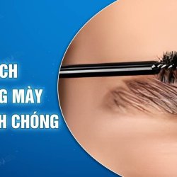 10 cách giúp lông mày mọc nhanh chóng tại nhà dành cho bạn  