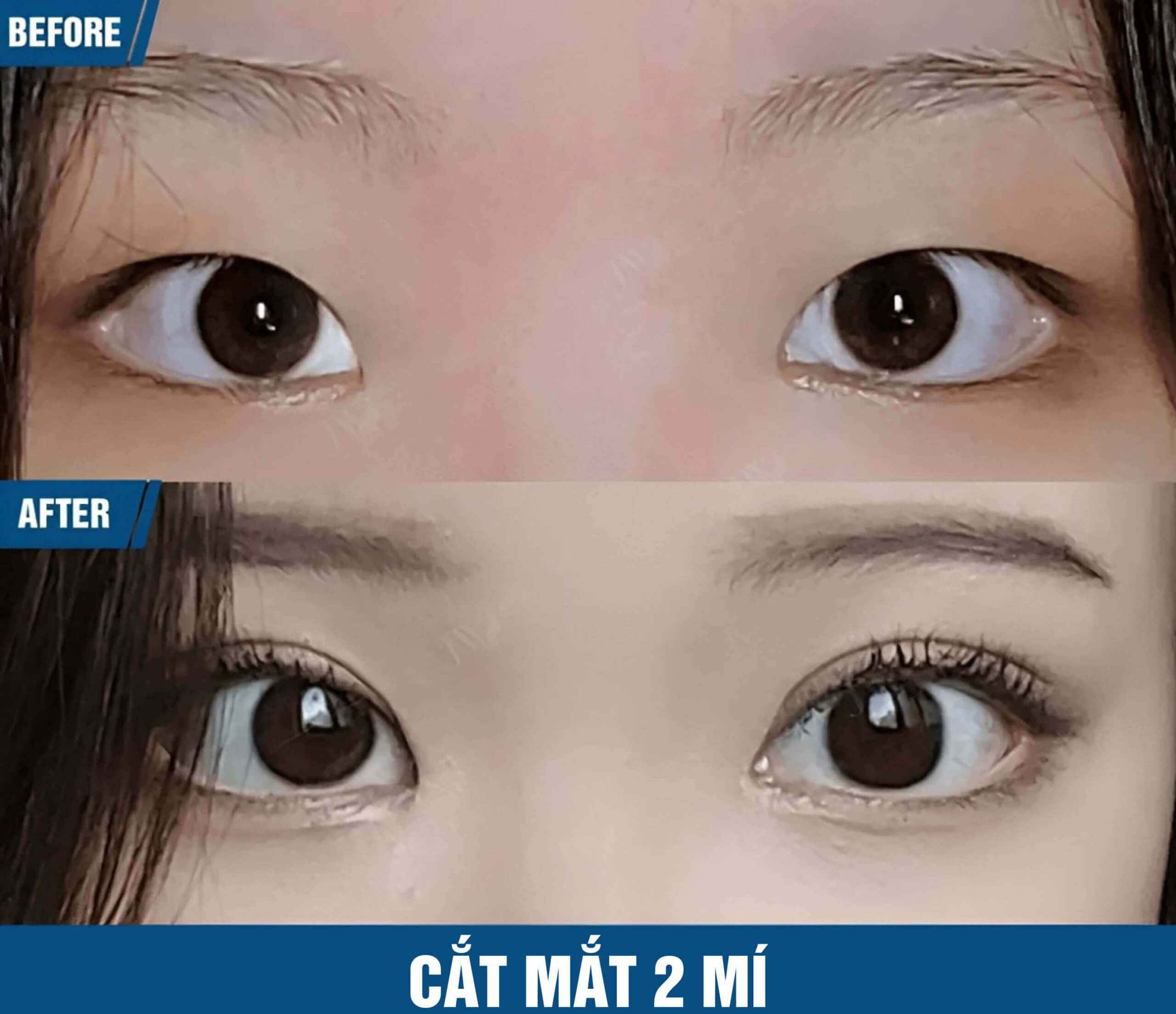 cat mat 2 mi