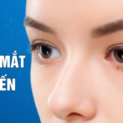 10 kiểu mắt phổ biến và vai trò tạo nét đẹp gương mặt