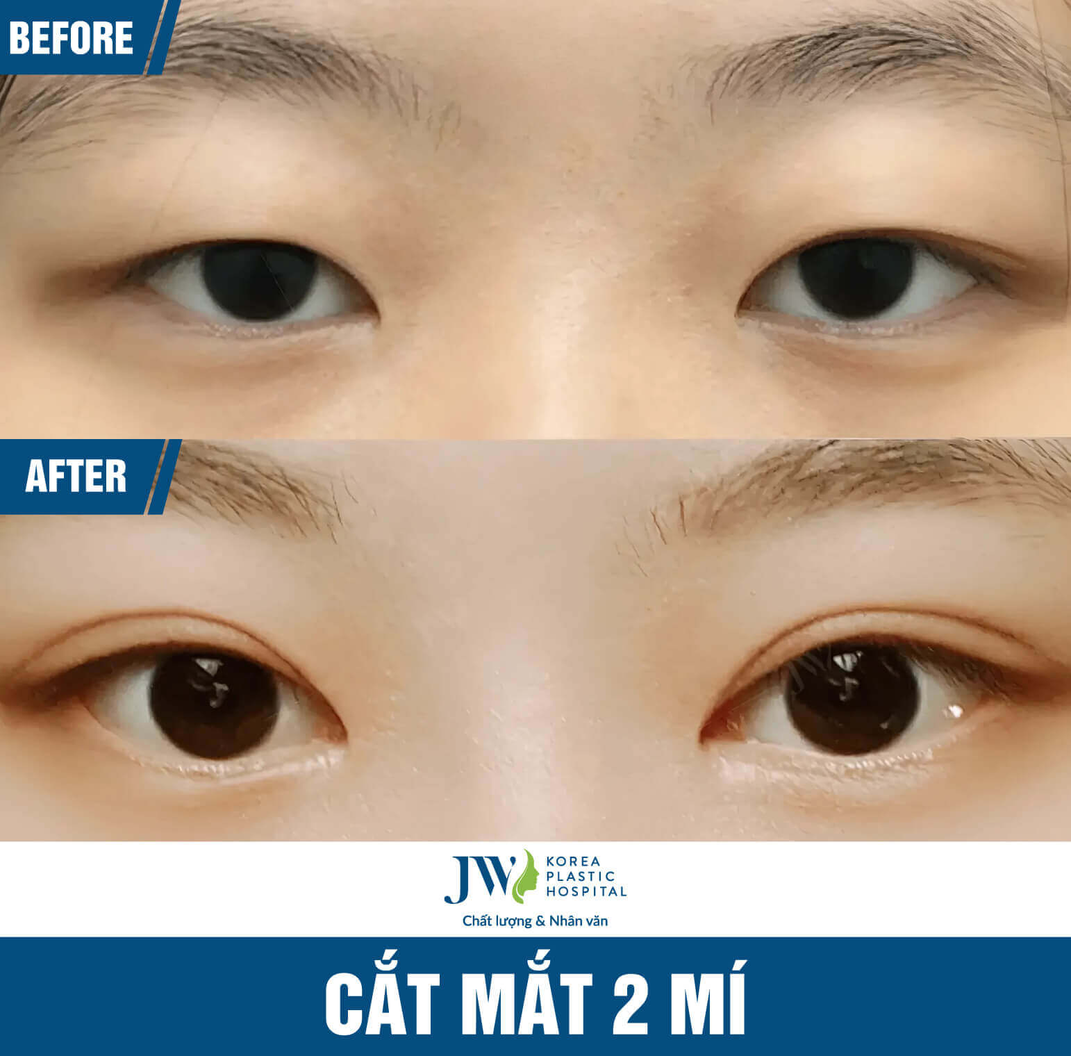 cat-mat-2-mi