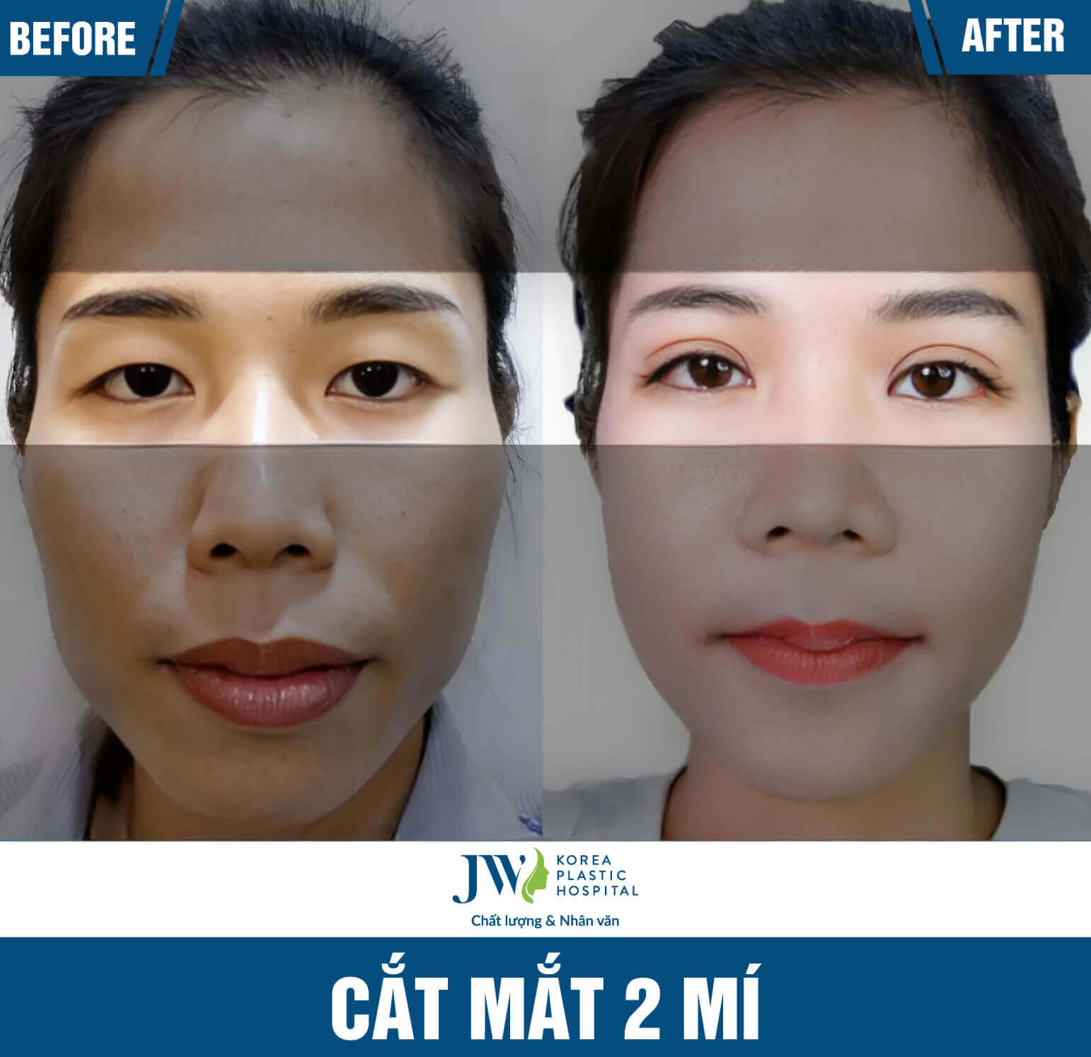 cat mat 2 mi