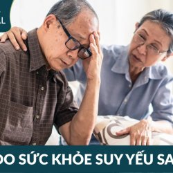 Cơ thể suy yếu sau tuổi 50 – Điều gì đang thay đổi từ bên trong?