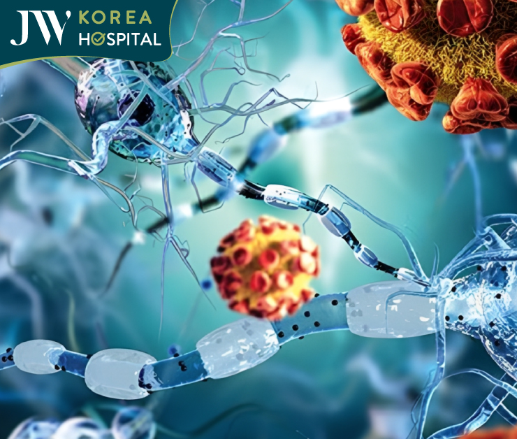 Qua tuổi 50 hệ miễn dịch suy giảm khiến cơ thể luôn cảm thấy mệt mỏi, thiếu năng lượng