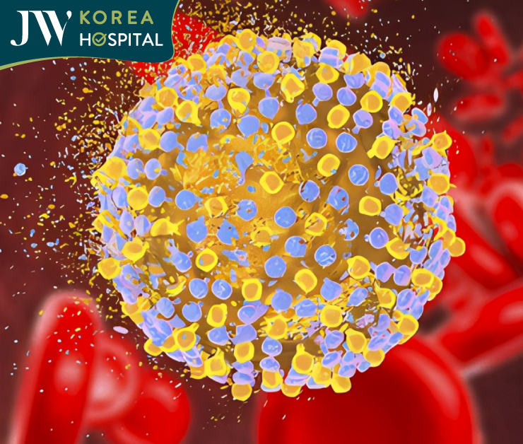 Ở sau độ tuổi 50, nội tiết tố giảm, khả năng tái tạo tế bào không còn hoạt động tốt như trước khiến cơ thể xuất hiện các dấu hiệu mệt mỏi, thiếu năng